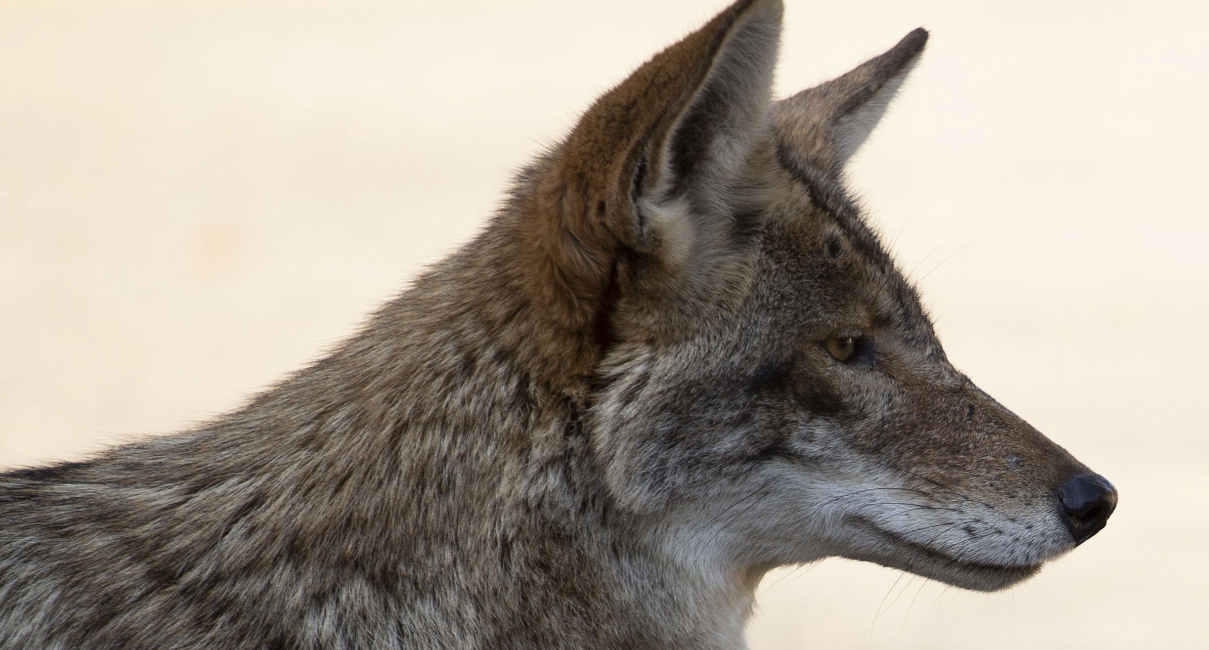 Ben Mater photography